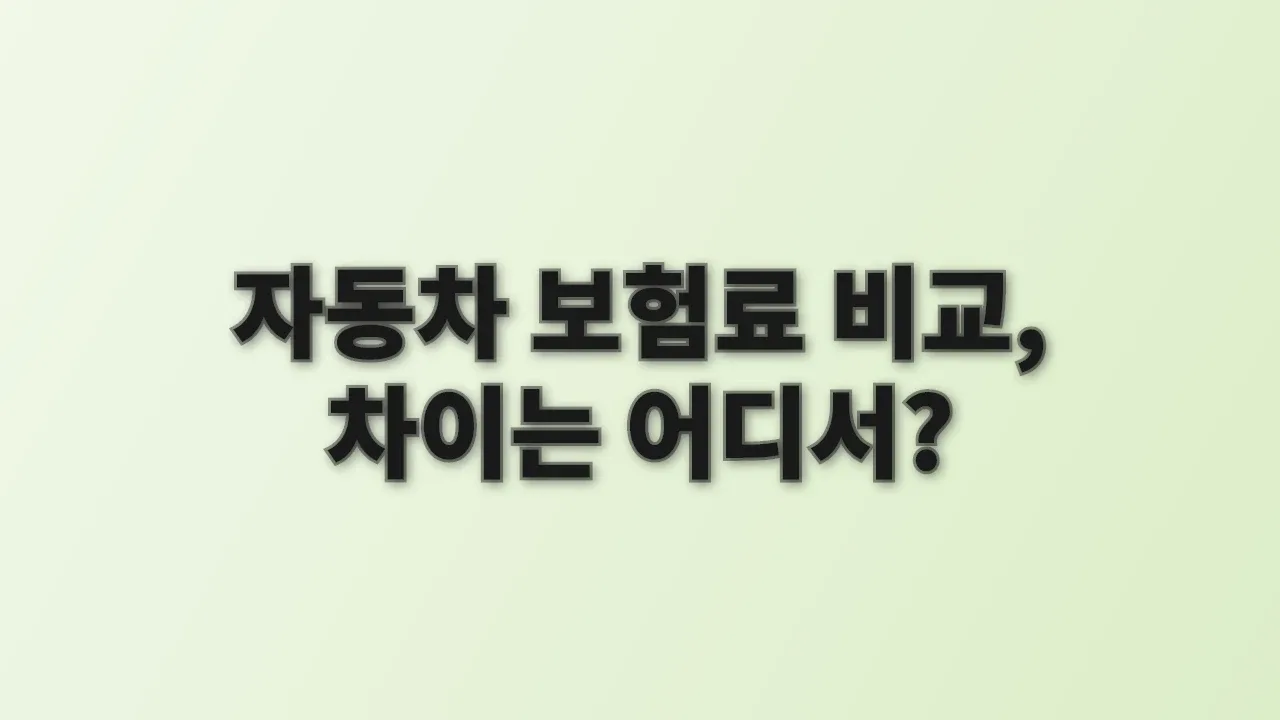 자동차 보험료 비교, 차이는 어디서?